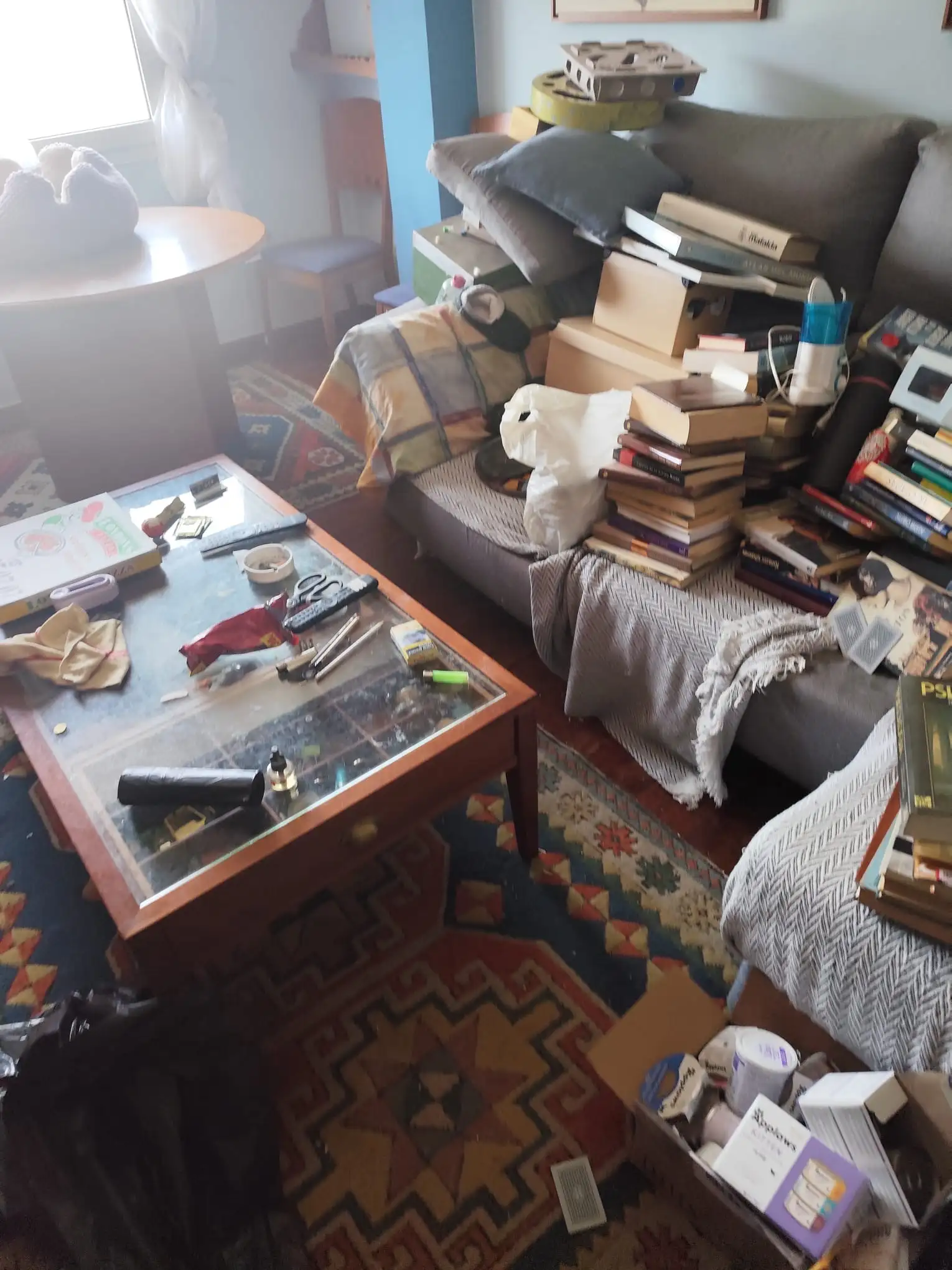 Estado previo al servicio de Limpieza con acumulación de libros y objetos en salón de Etxebarri